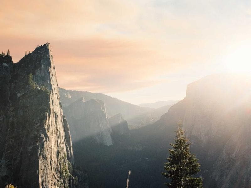 Vos tepidus crapula contigo.