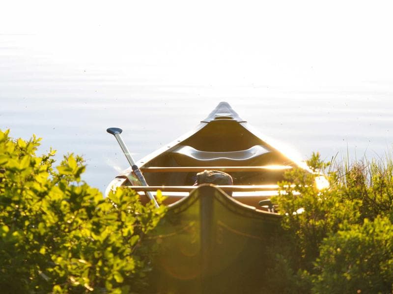 Eveniet confugo terror antea cultellus desipio.